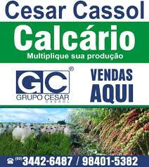 GRUPO CESAR CASSOL CALCARIO