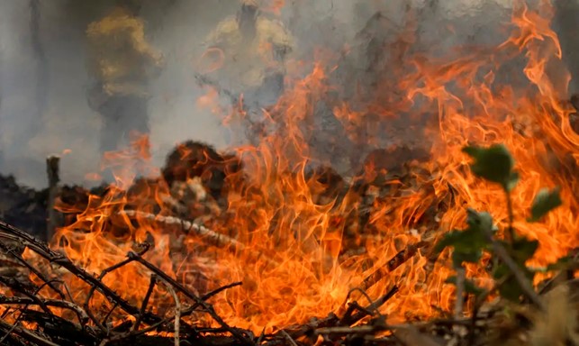 CORONEL CHRISOSTOMO: INCÊNDIO NO GOVERNO ESQUERDISTA É QUASE 100% MAIOR QUE SOB A DIREITA EM 2018.